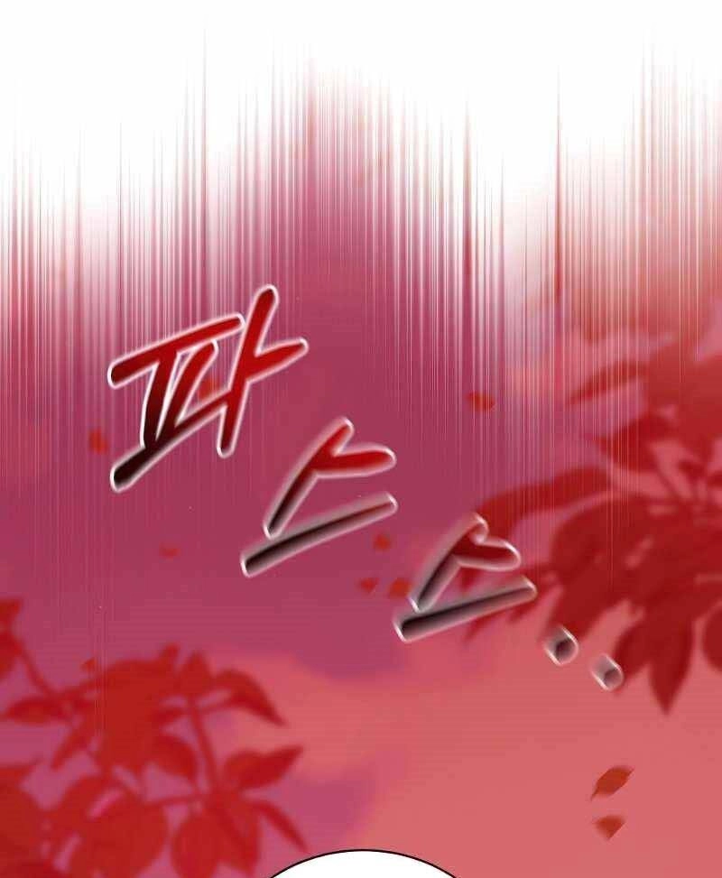 Thiên Tài Kiếm Thuật Của Gia Tộc Danh Giá Chapter 20 - 131