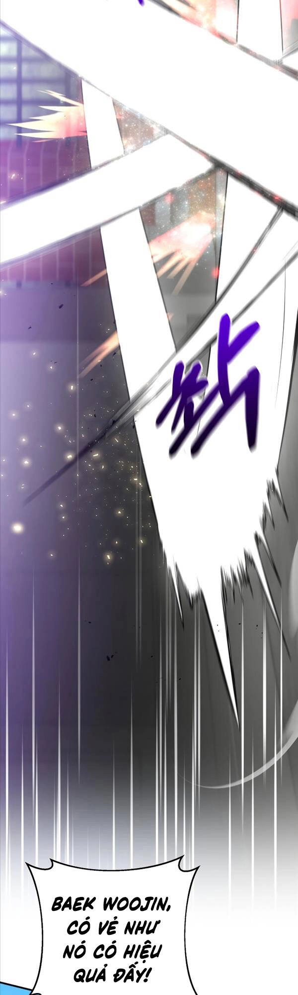 Thiên Tài Kiếm Thuật Của Gia Tộc Danh Giá Chapter 51 - 45