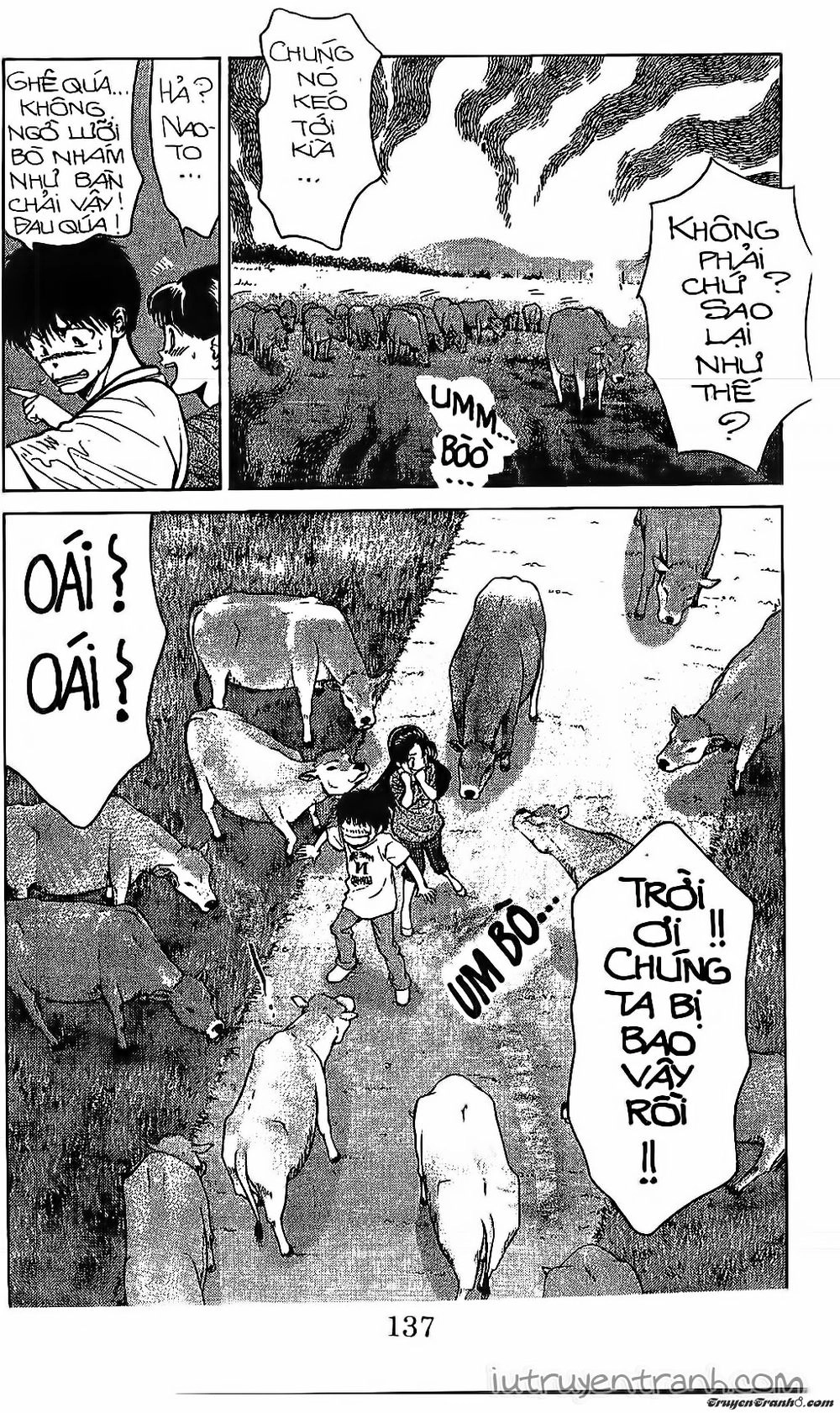 Mirano Nhà Tôi Chapter 116 - 15