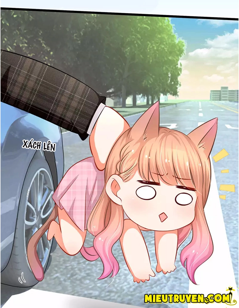 Thiên Giới Bảo Bối Của Tổng Tài Daddy Chapter 6 - 4