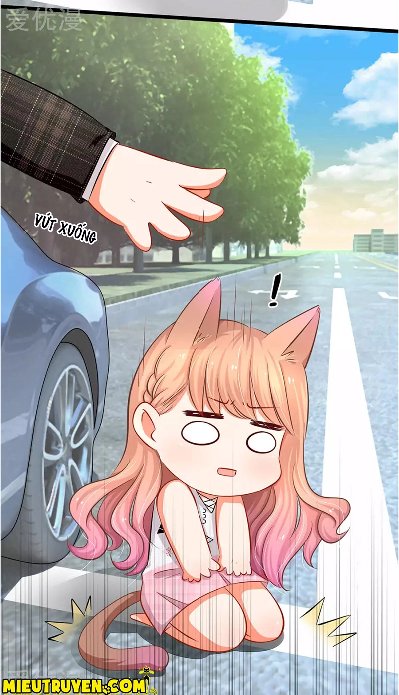 Thiên Giới Bảo Bối Của Tổng Tài Daddy Chapter 6 - 5