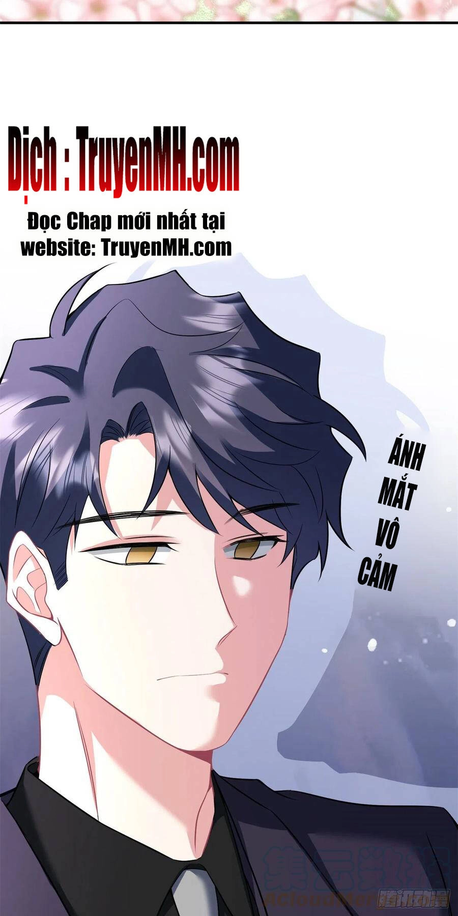 Nam Thành Chờ Trăng Về Chapter 223 - 5