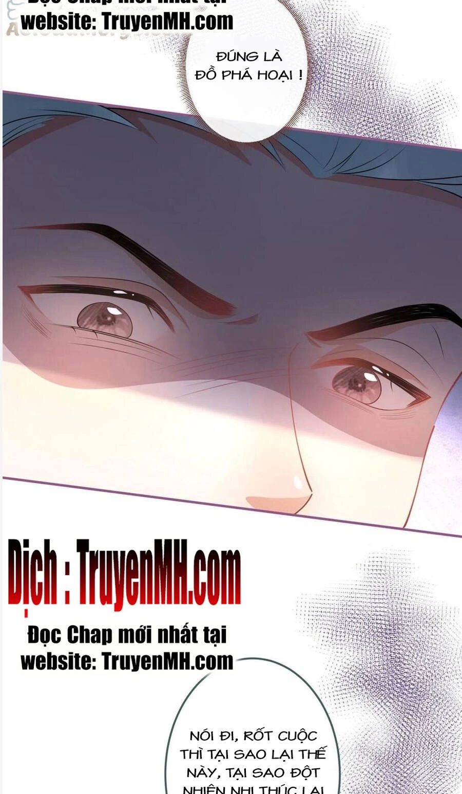 Nam Thành Chờ Trăng Về Chapter 254 - 19