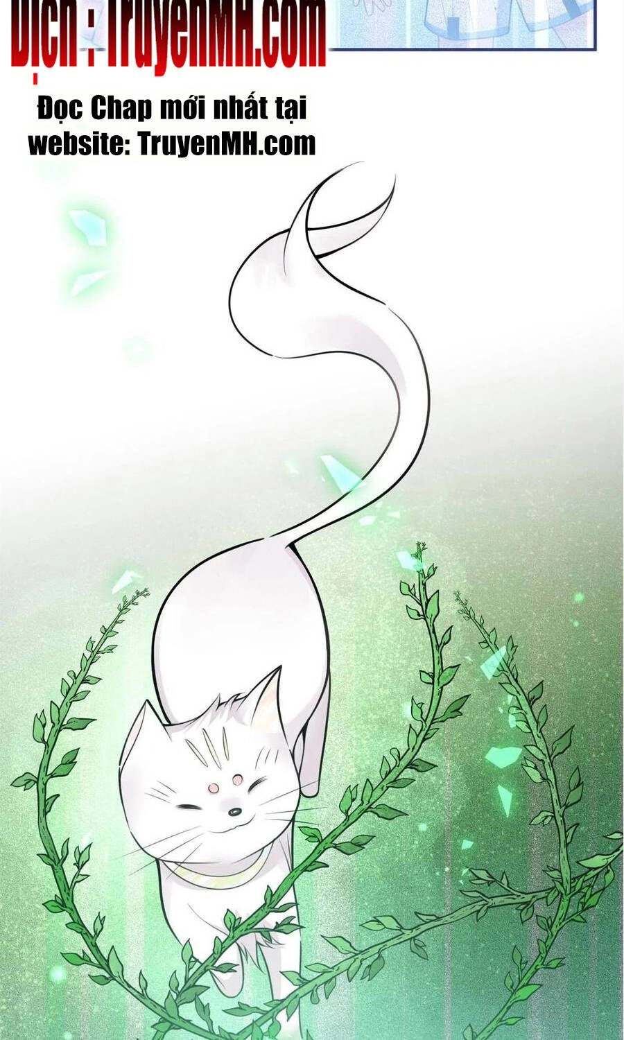 Nam Thành Chờ Trăng Về Chapter 261 - 6