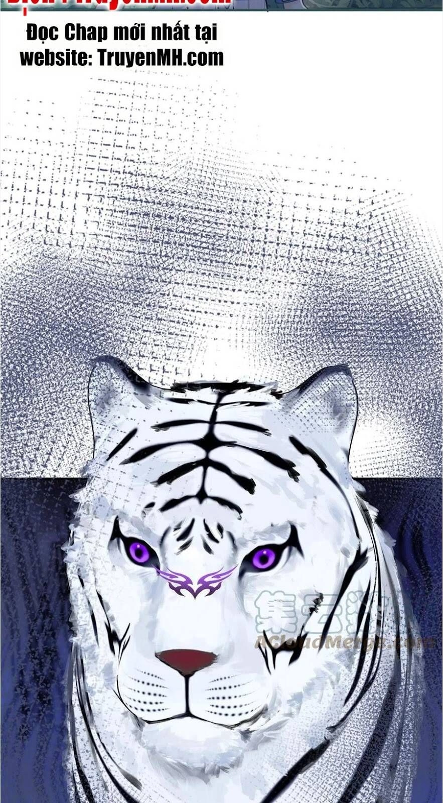 Nam Thành Chờ Trăng Về Chapter 268 - 7