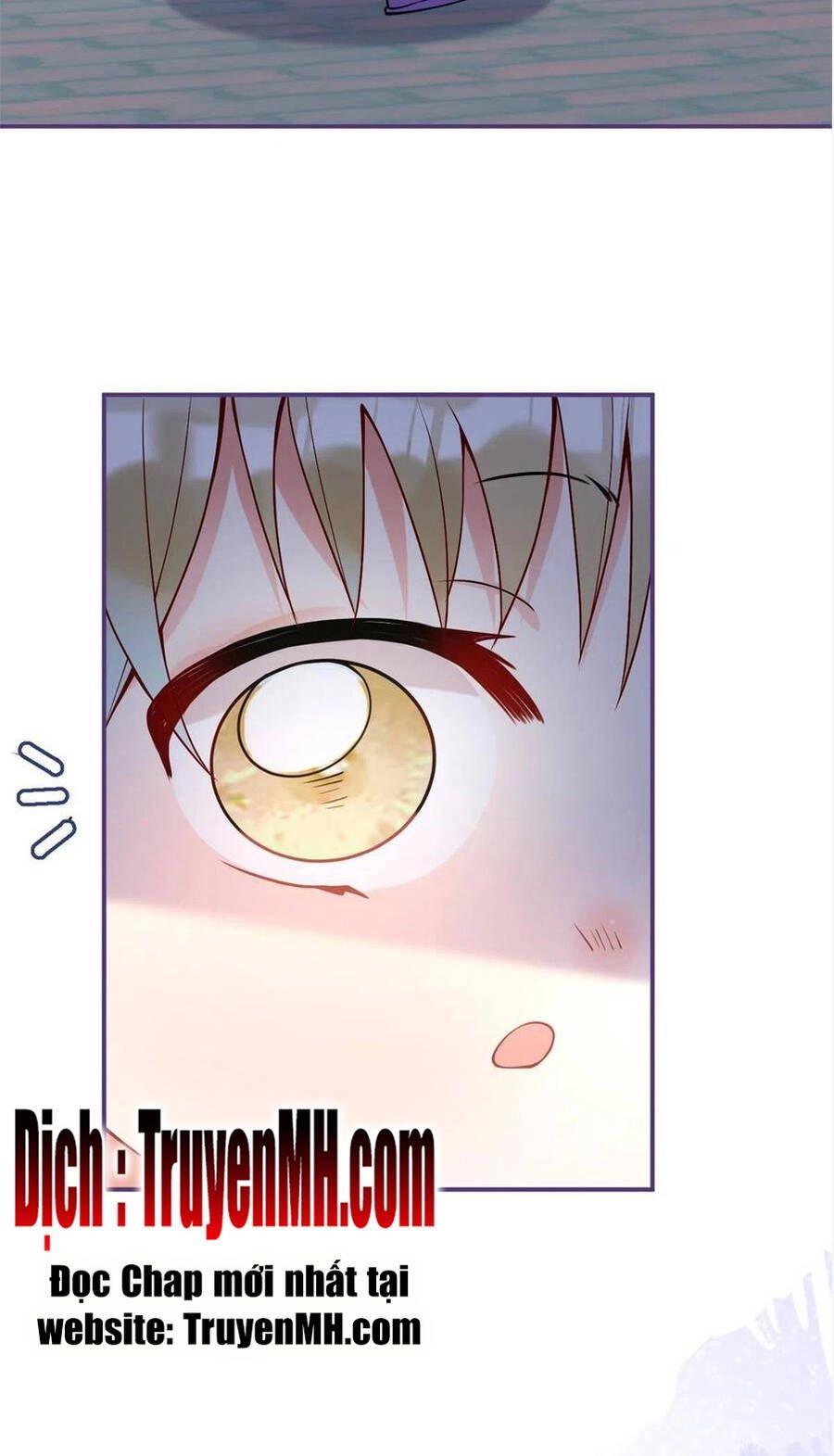 Nam Thành Chờ Trăng Về Chapter 269 - 16