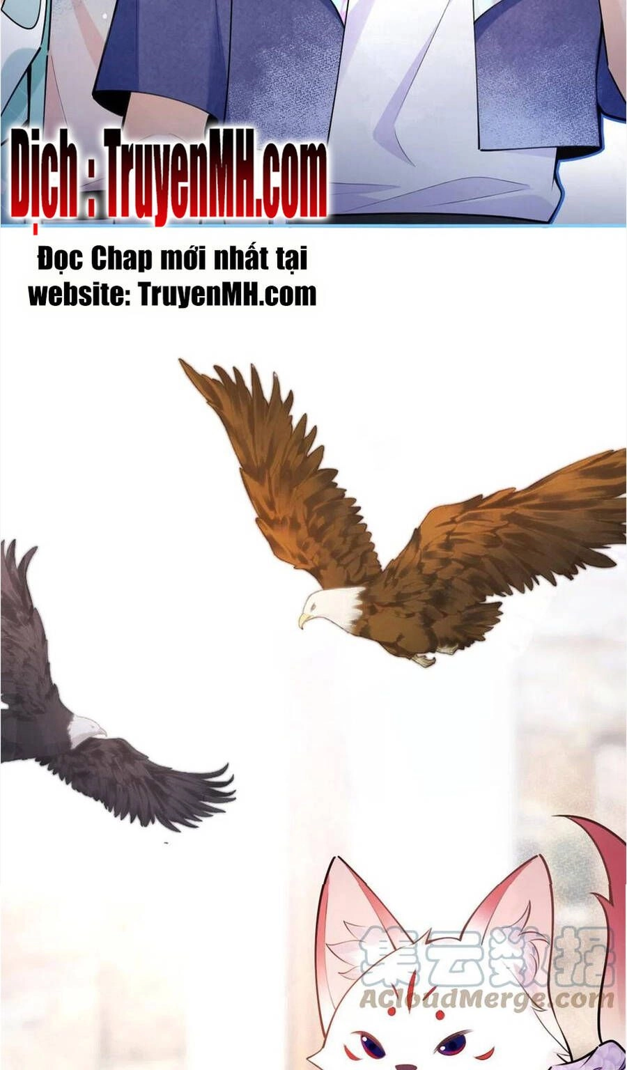 Nam Thành Chờ Trăng Về Chapter 271 - 14