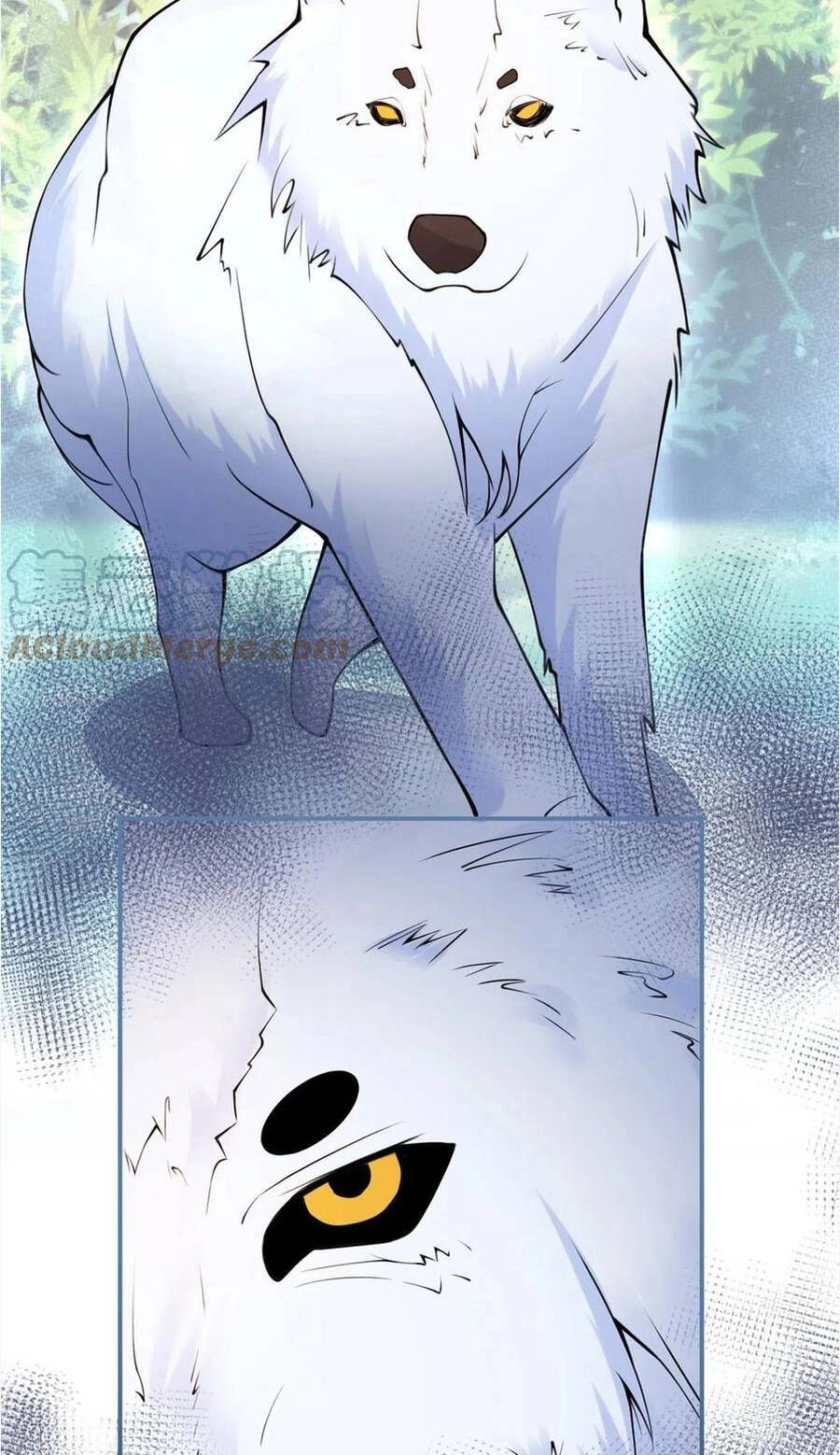 Nam Thành Chờ Trăng Về Chapter 278 - 8