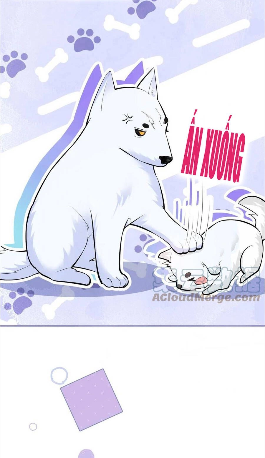 Nam Thành Chờ Trăng Về Chapter 278 - 19