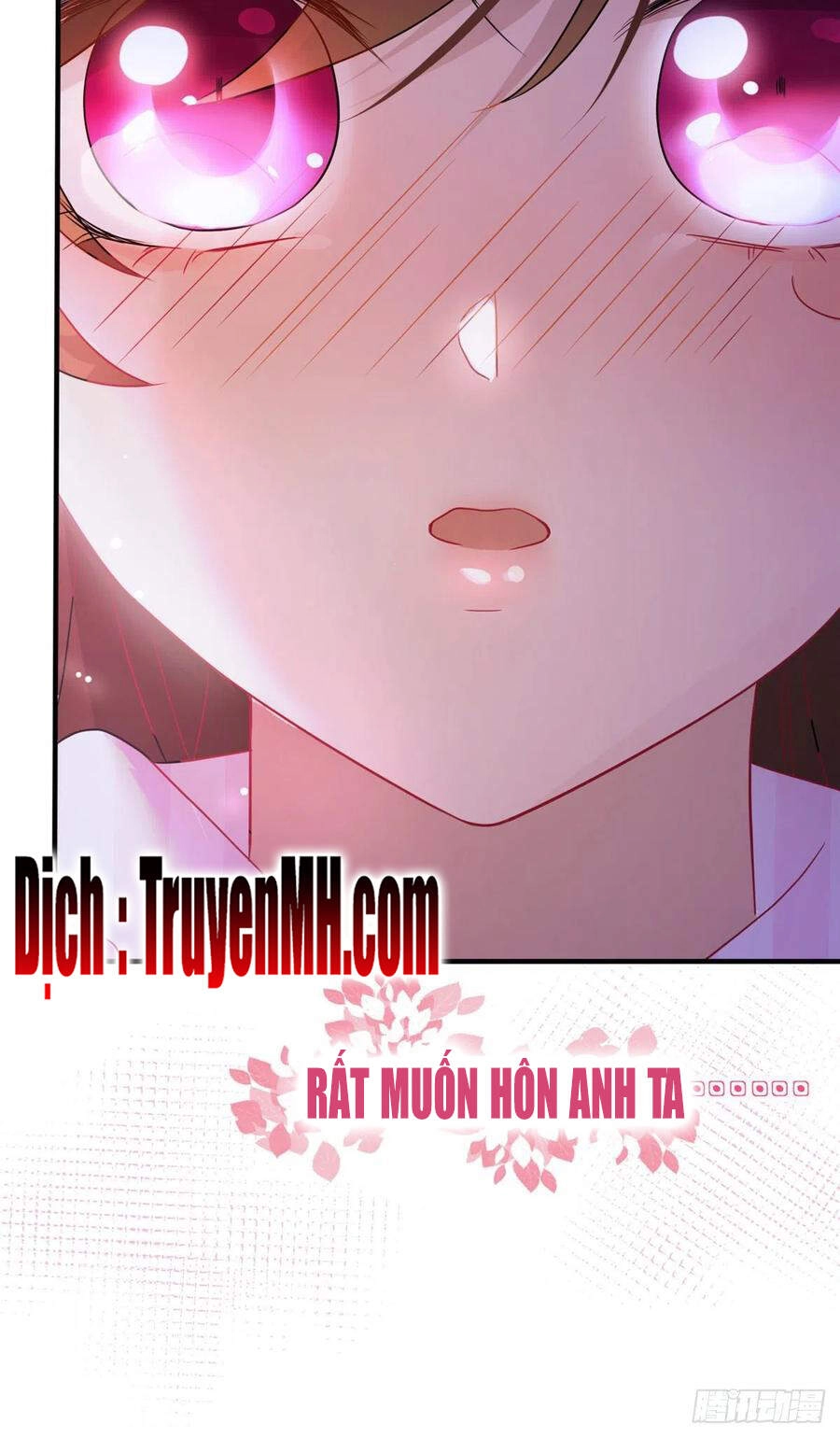 Nam Thành Chờ Trăng Về Chapter 91 - 24