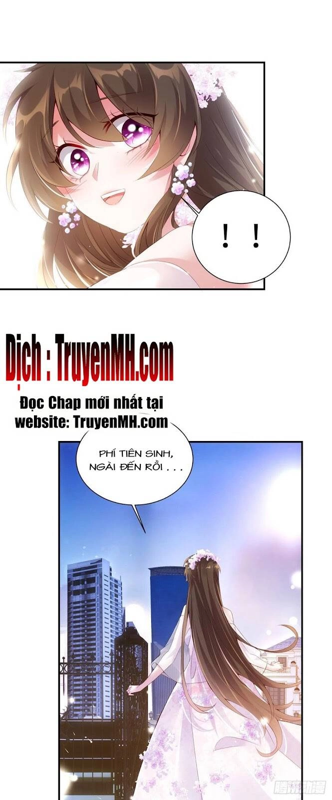 Nam Thành Chờ Trăng Về Chapter 116 - 15