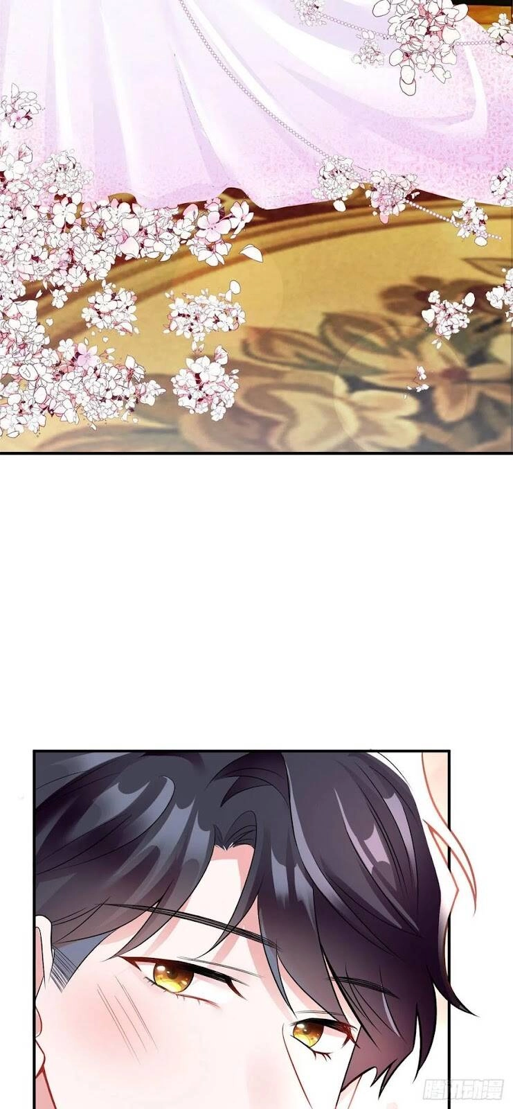 Nam Thành Chờ Trăng Về Chapter 205 - 13