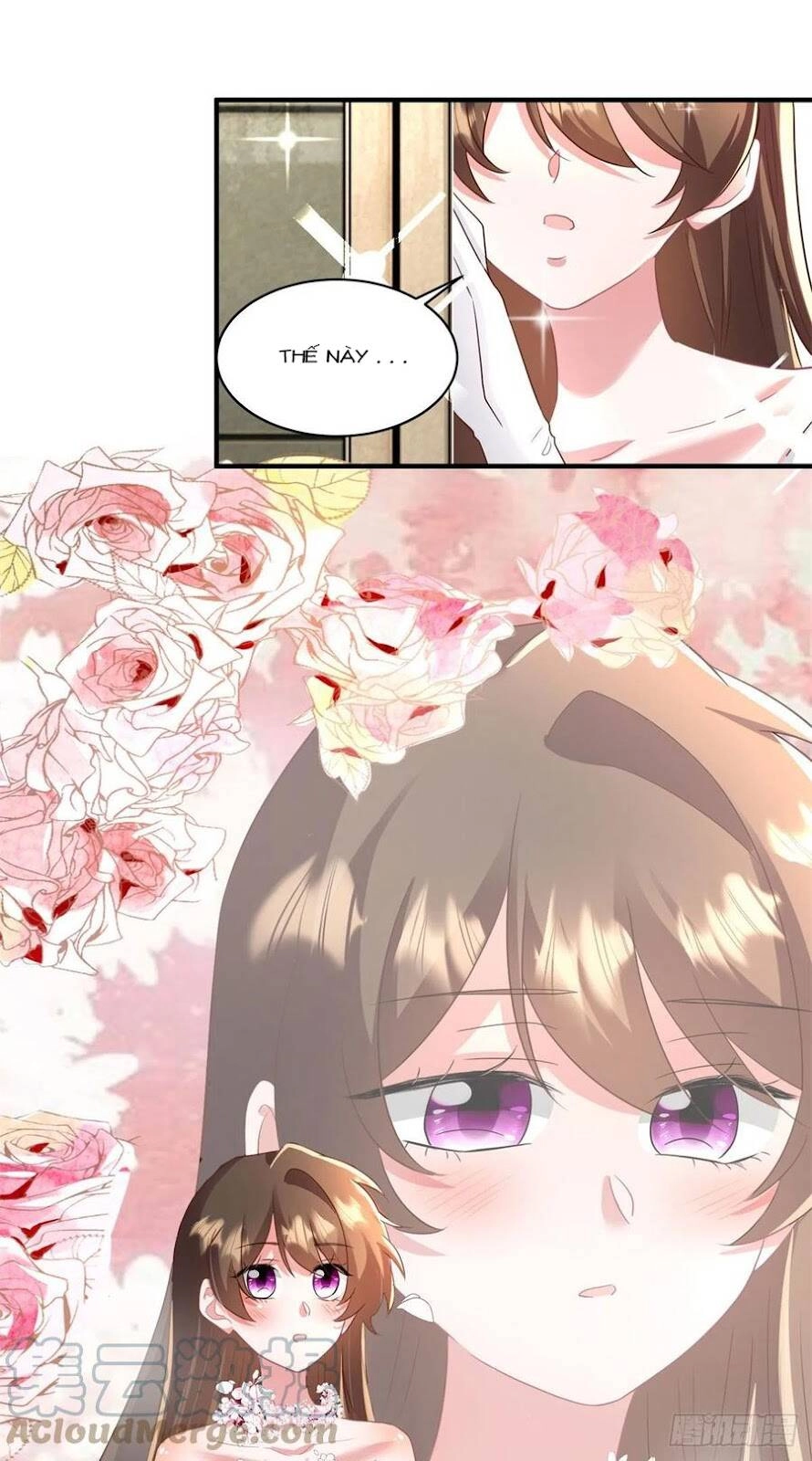 Nam Thành Chờ Trăng Về Chapter 206 - 4