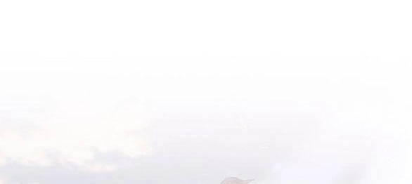 Mong Chờ Giây Phút Thiêng Liêng Được Chạm Tới Người Chapter 47.1 - 9