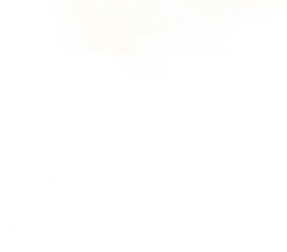 Mong Chờ Giây Phút Thiêng Liêng Được Chạm Tới Người Chapter 49.2 - 65