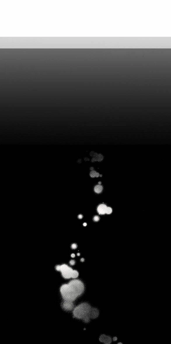 Mong Chờ Giây Phút Thiêng Liêng Được Chạm Tới Người Chapter 57.2 - 56