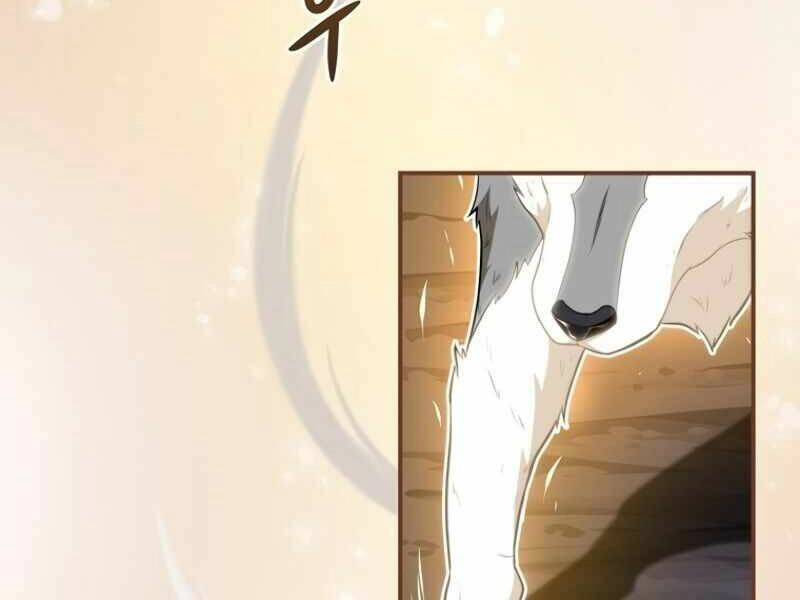 Streamer Pháp Sư Chapter 15 - 78