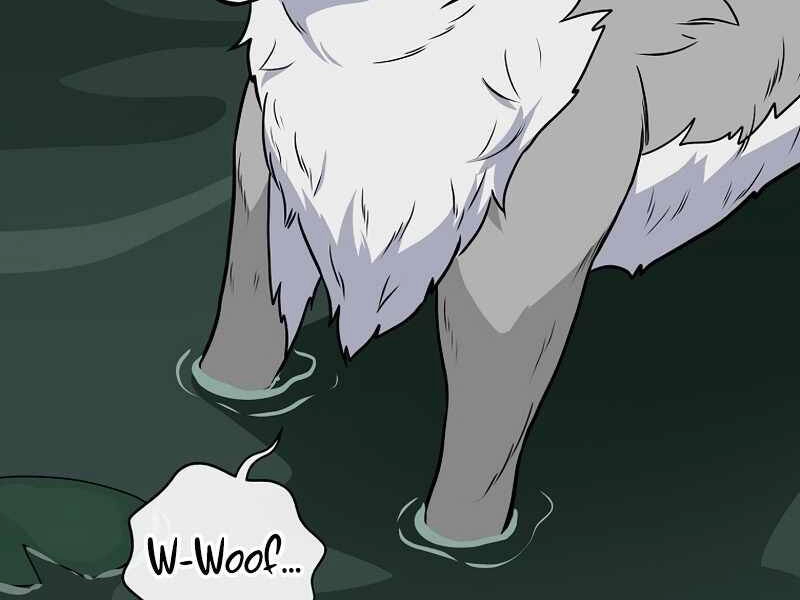 Streamer Pháp Sư Chapter 27 - 141