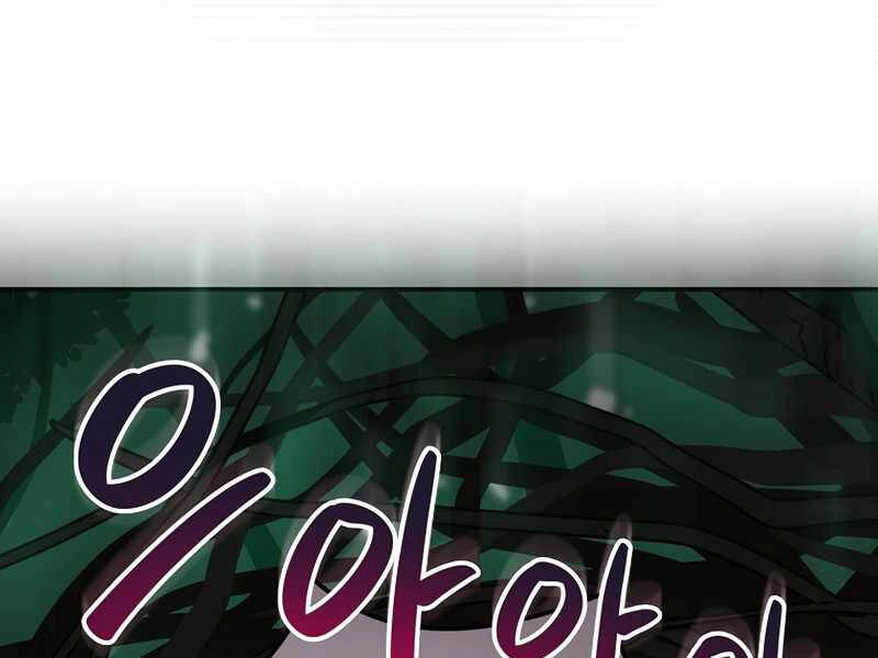 Streamer Pháp Sư Chapter 27 - 163