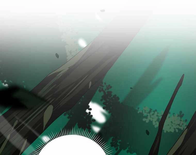 Streamer Pháp Sư Chapter 29 - 149