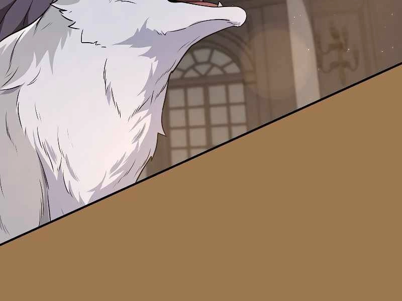 Streamer Pháp Sư Chapter 31 - 138