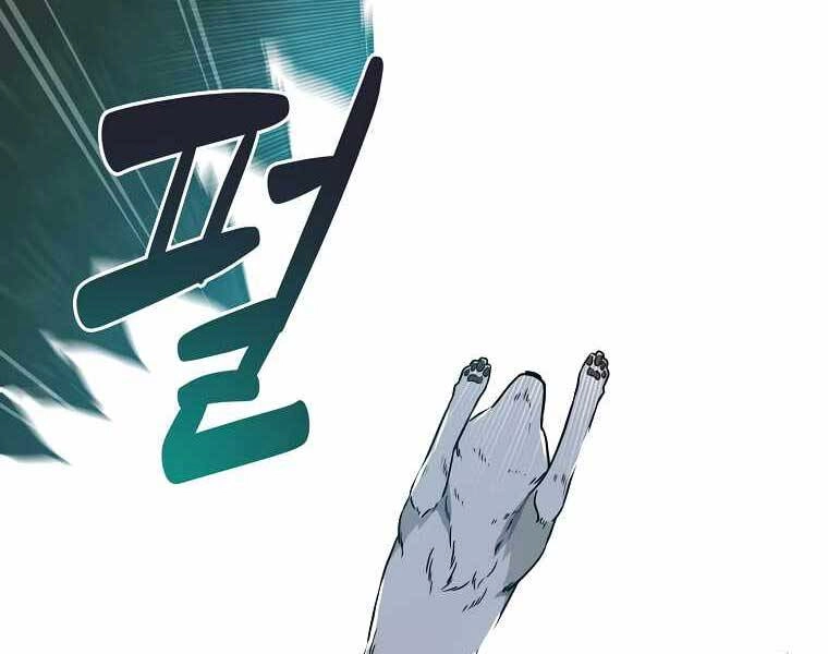 Streamer Pháp Sư Chapter 38 - 135