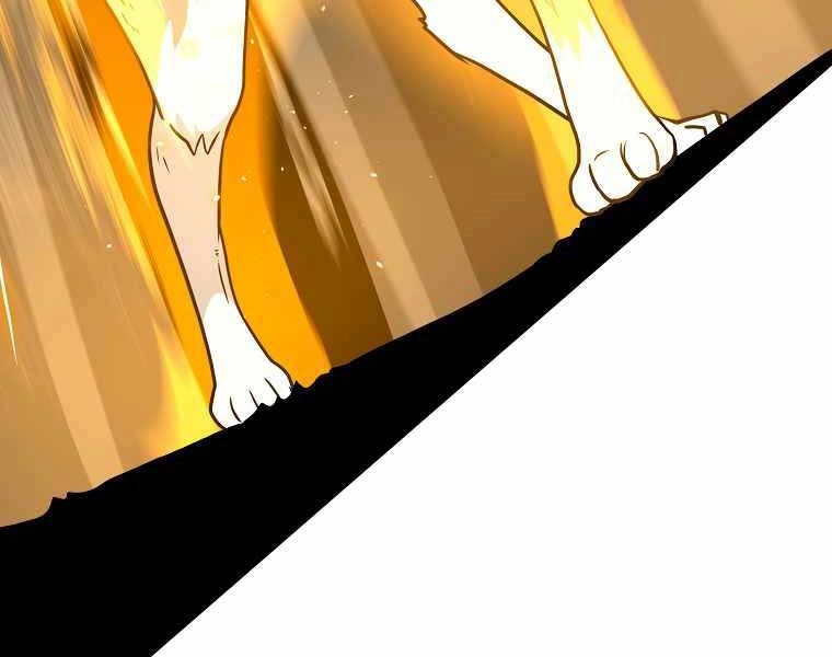 Streamer Pháp Sư Chapter 38 - 194