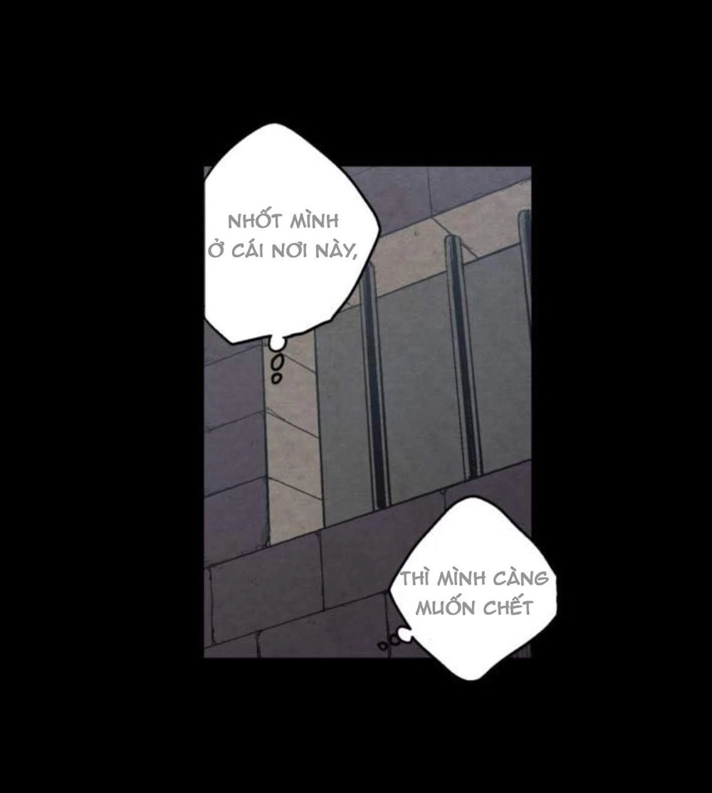 Xin Đừng Cắn Em Chapter 31 - 12