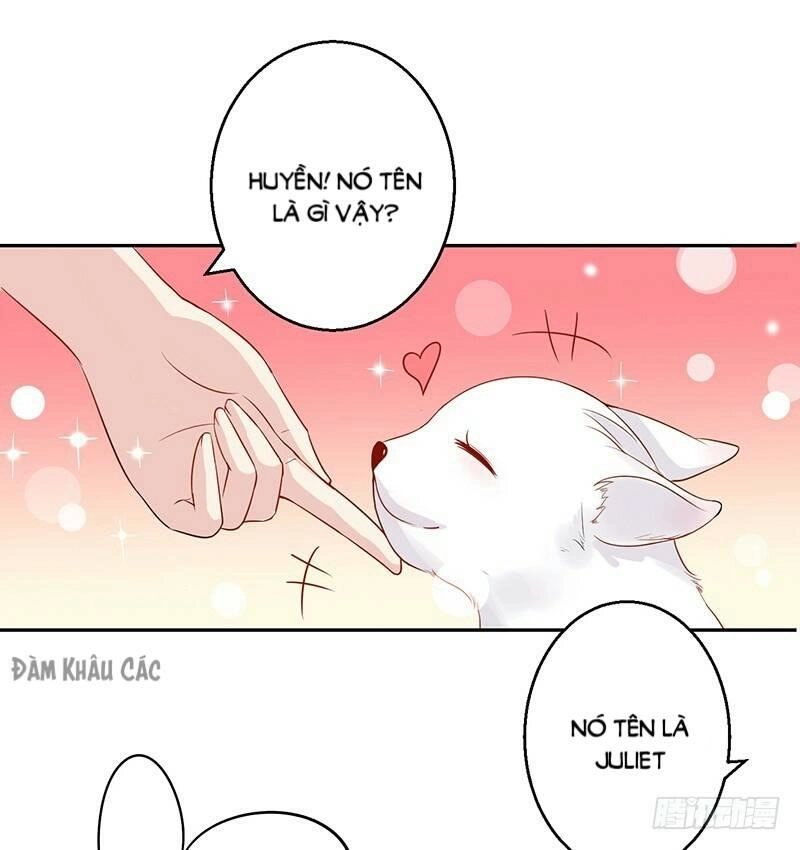 Trường Học Thảo Yêu Hoa Chapter 34 - 11