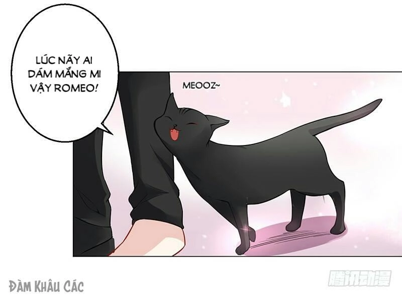 Trường Học Thảo Yêu Hoa Chapter 34 - 21