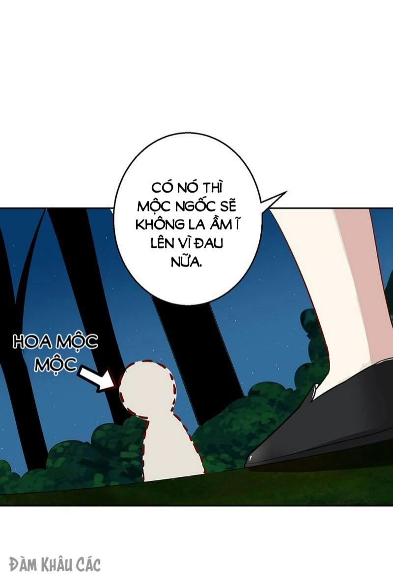 Trường Học Thảo Yêu Hoa Chapter 39 - 28