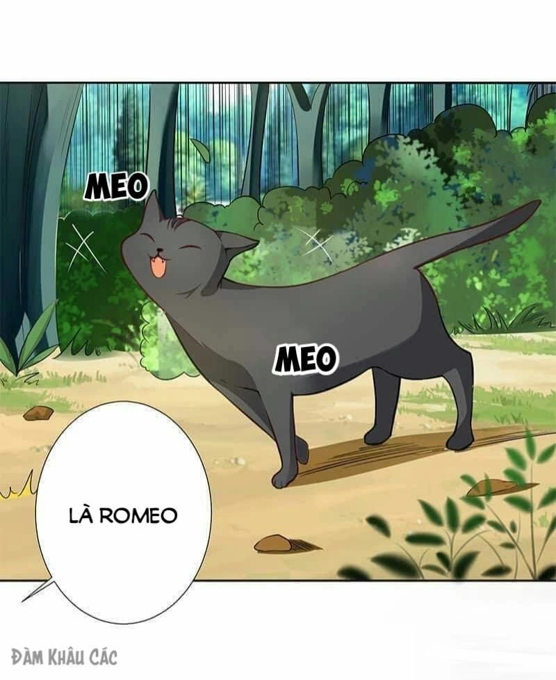 Trường Học Thảo Yêu Hoa Chapter 43 - 14