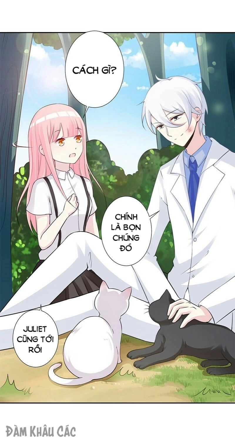 Trường Học Thảo Yêu Hoa Chapter 43 - 17