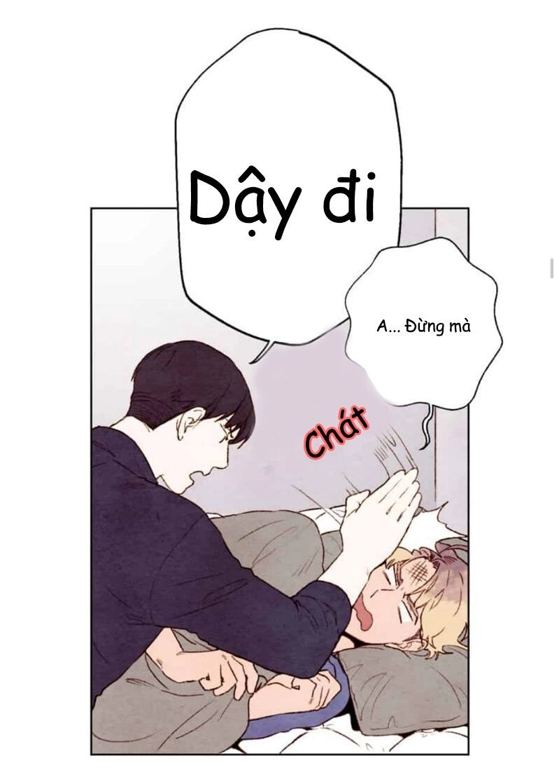 Ôi ! Trợ Lý Đặc Biệt Của Tôi Chapter 8 - 6