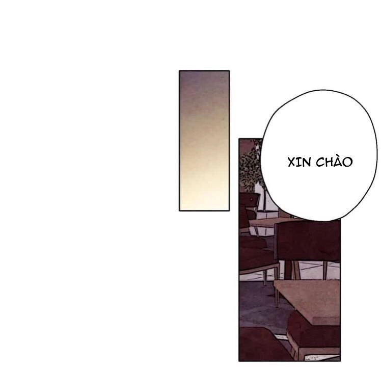 Ôi ! Trợ Lý Đặc Biệt Của Tôi Chapter 42 - 22