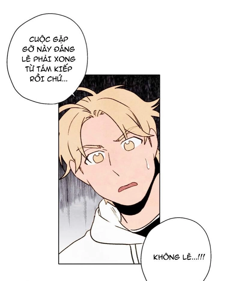 Ôi ! Trợ Lý Đặc Biệt Của Tôi Chapter 42 - 35