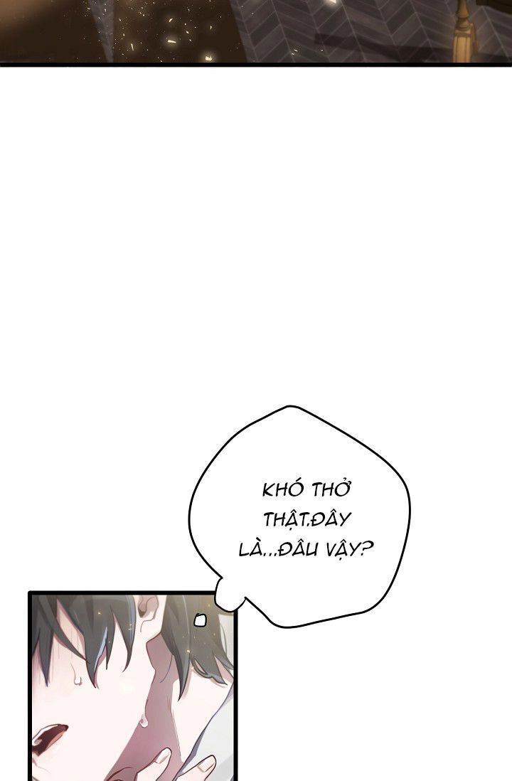 Sức Mạnh Của Nhà Vua Chapter 2 - 10