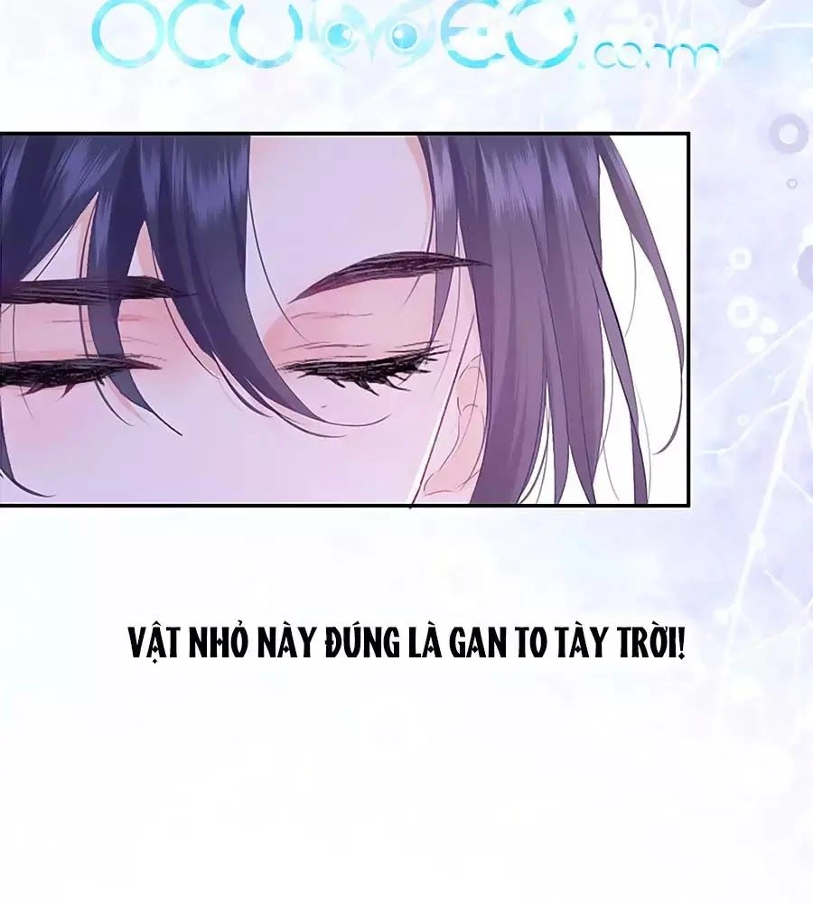 Kiều Nhi Không Nghe Lời Chapter 11 - 40