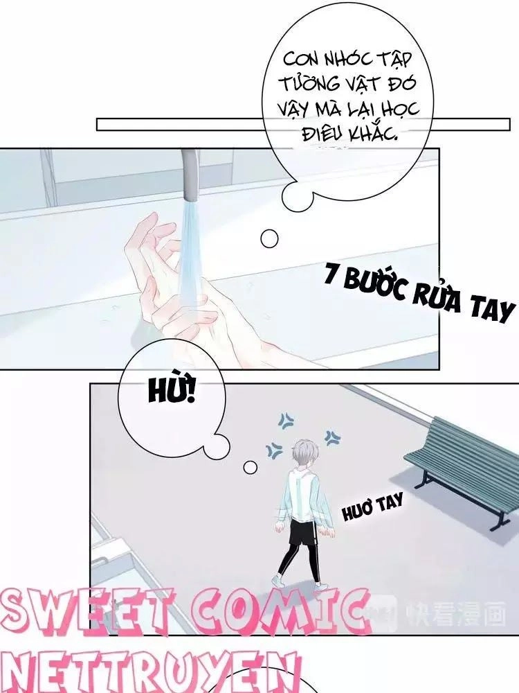 Vấp Phải Phản Quang Chapter 3 - 8