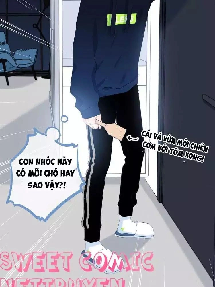 Vấp Phải Phản Quang Chapter 3 - 33