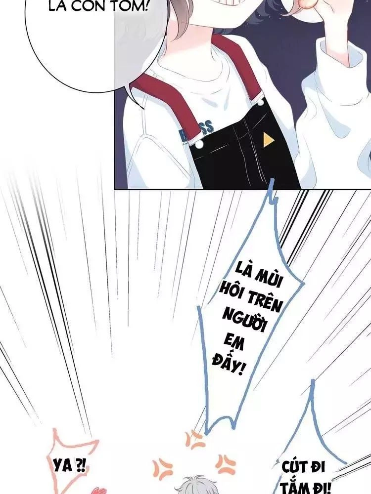 Vấp Phải Phản Quang Chapter 3 - 43