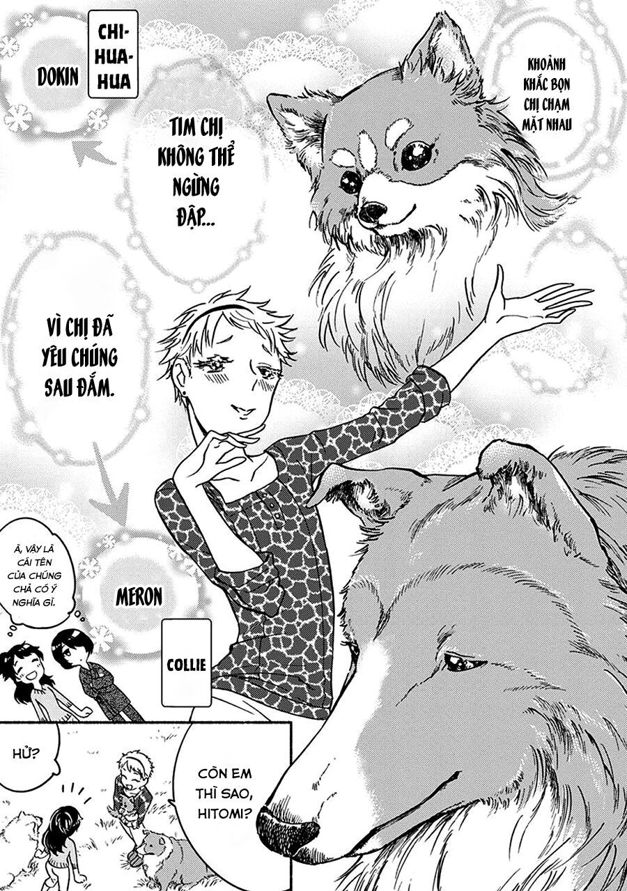 One-Room Wanko Chapter 2 - 11