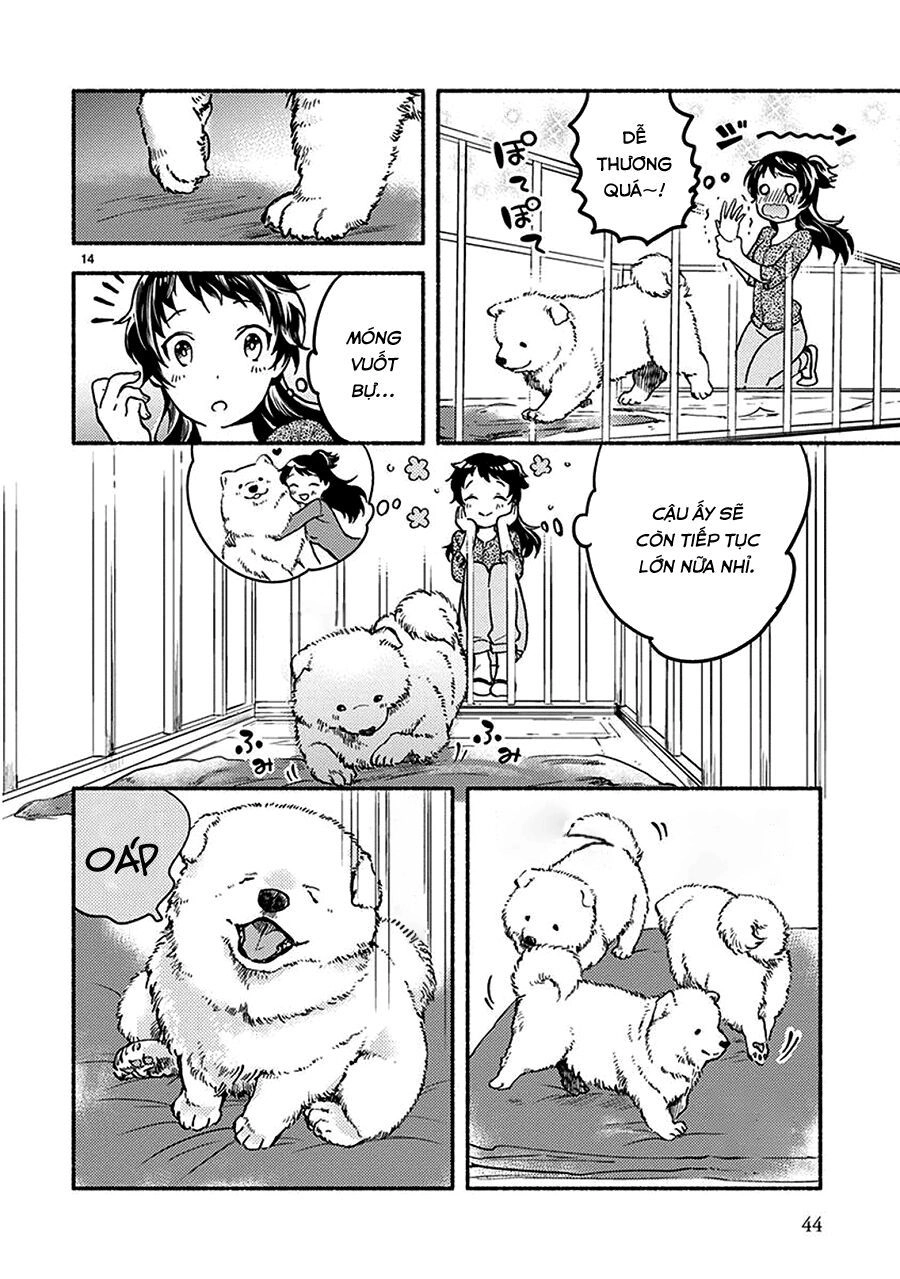 One-Room Wanko Chapter 2 - 14