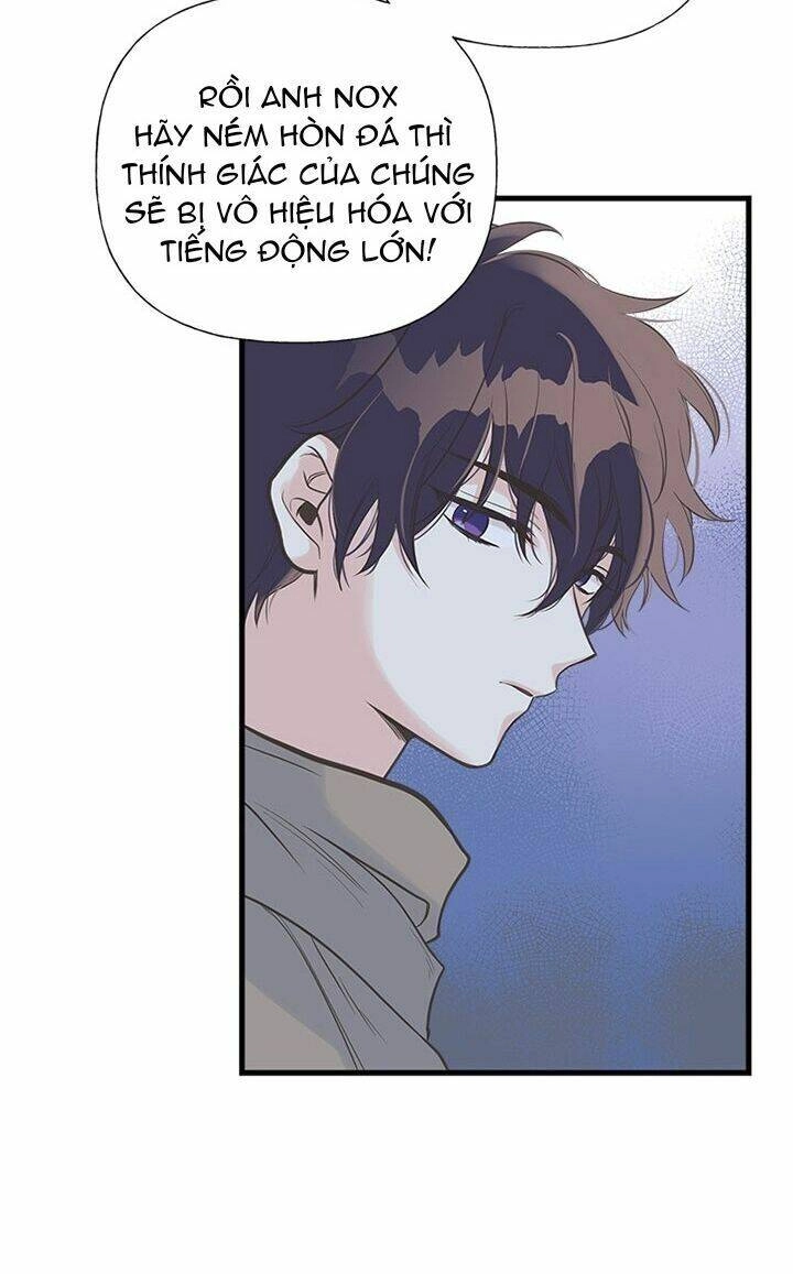 Chị Tôi Đã Nhặt Về Nhà Một Nam Chính Quyến Rũ Chapter 11 - 21