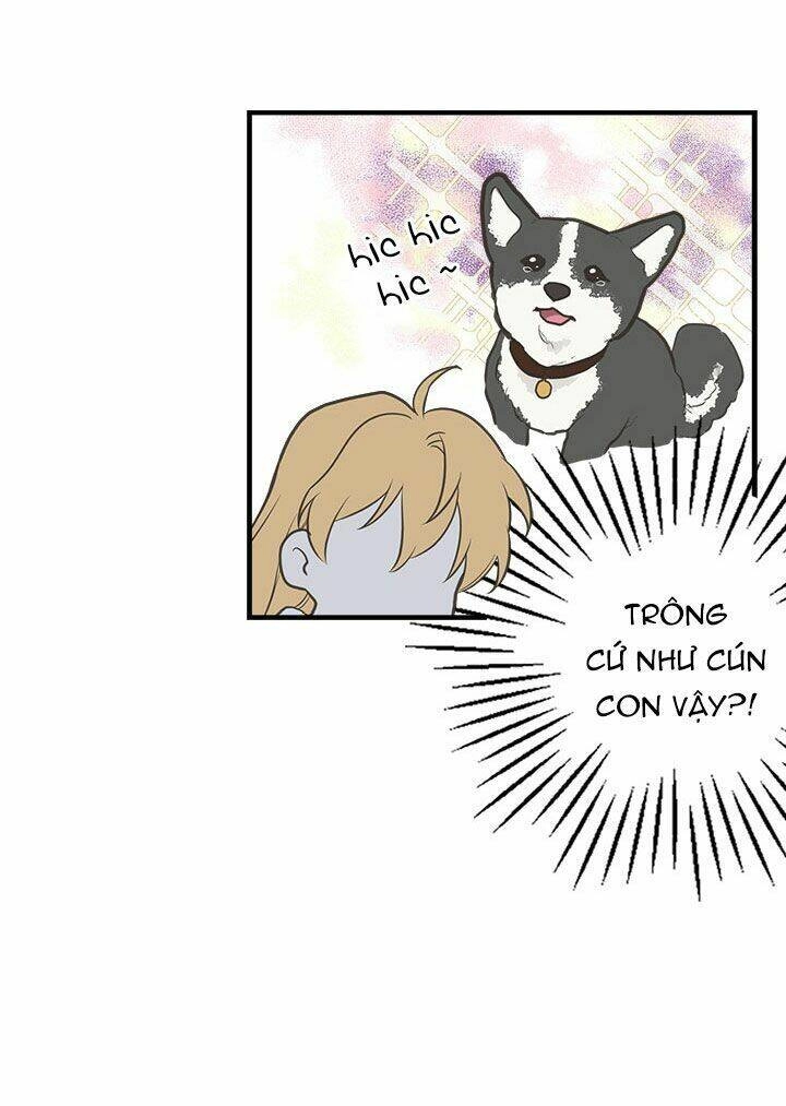 Chị Tôi Đã Nhặt Về Nhà Một Nam Chính Quyến Rũ Chapter 12 - 41