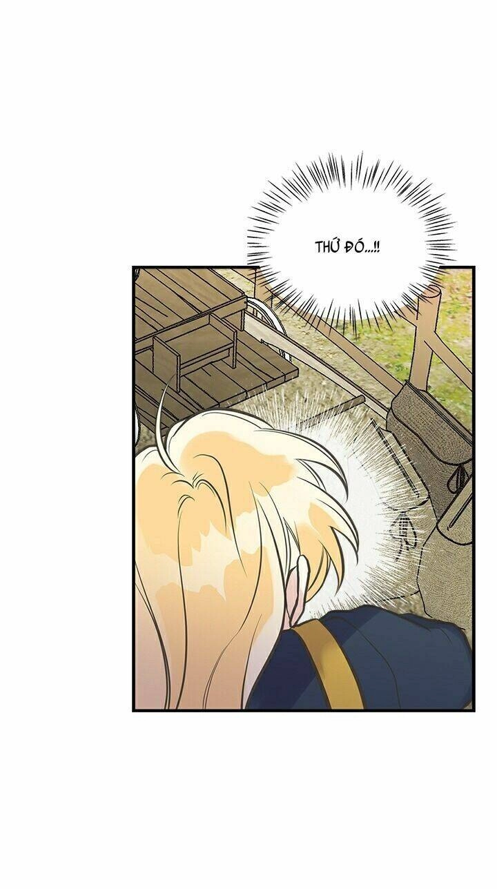 Chị Tôi Đã Nhặt Về Nhà Một Nam Chính Quyến Rũ Chapter 22 - 62