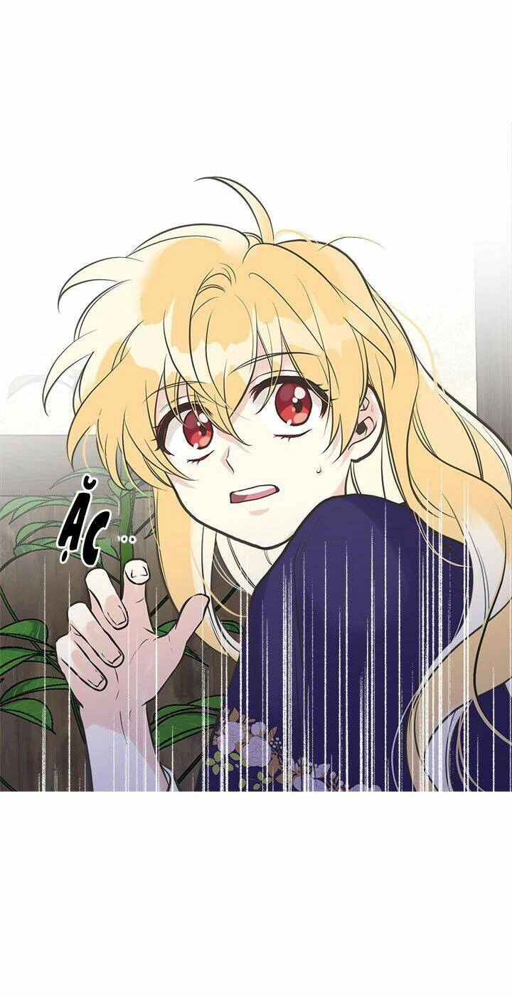 Chị Tôi Đã Nhặt Về Nhà Một Nam Chính Quyến Rũ Chapter 26 - 43