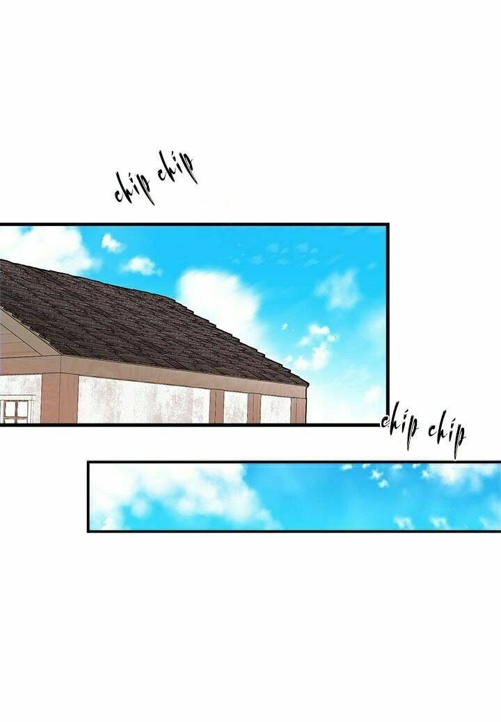 Chị Tôi Đã Nhặt Về Nhà Một Nam Chính Quyến Rũ Chapter 28 - 13