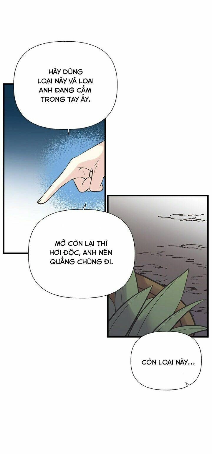 Chị Tôi Đã Nhặt Về Nhà Một Nam Chính Quyến Rũ Chapter 31 - 43