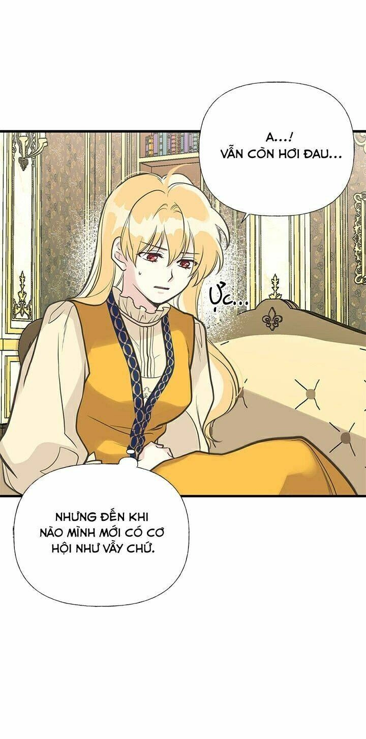 Chị Tôi Đã Nhặt Về Nhà Một Nam Chính Quyến Rũ Chapter 34 - 13